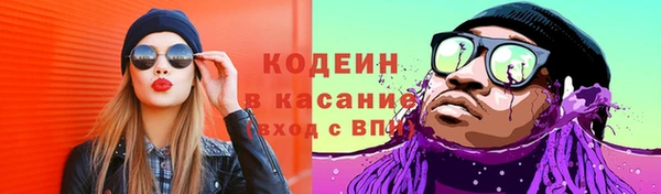 прущие грибы Арсеньев