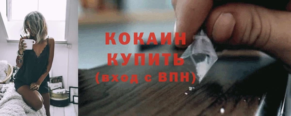 дживик Аркадак