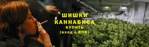 прущие грибы Арсеньев