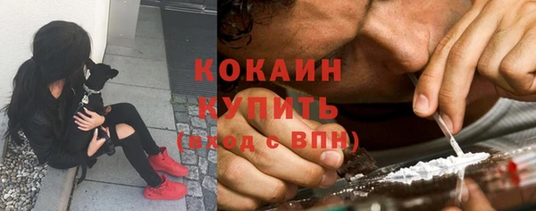 прущие грибы Арсеньев